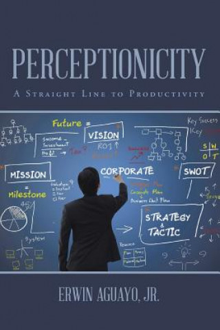 Könyv Perceptionicity Erwin Aguayo Jr