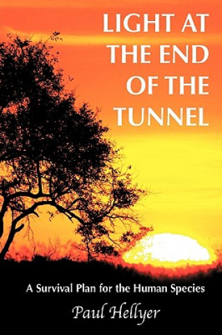 Knjiga Light at the End of the Tunnel Paul Hellyer