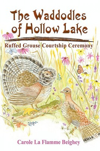 Livre Waddodles of Hollow Lake Carole La Flamme Beighey