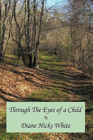 Buch Through The Eyes of a Child Diane Hicks White