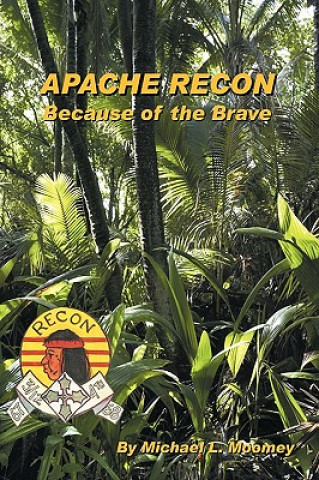 Carte Apache Recon Michael L Moomey