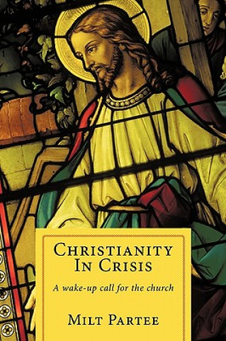 Kniha Christianity In Crisis Milt Partee