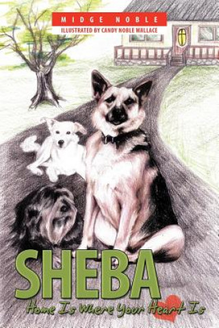 Knjiga Sheba Midge Noble