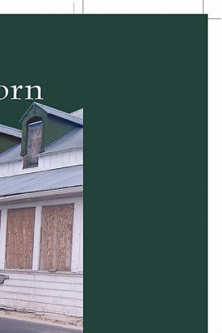 Buch Split & Torn Kanetharene