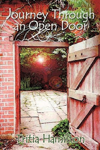 Book Journey Through an Open Door Tritia Hamilton