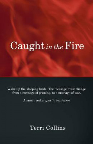 Livre Caught in the Fire Terri Collins