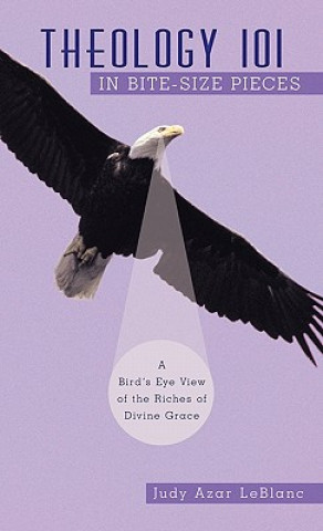 Book Theology 101 in Bite-Size Pieces Judy Azar LeBlanc