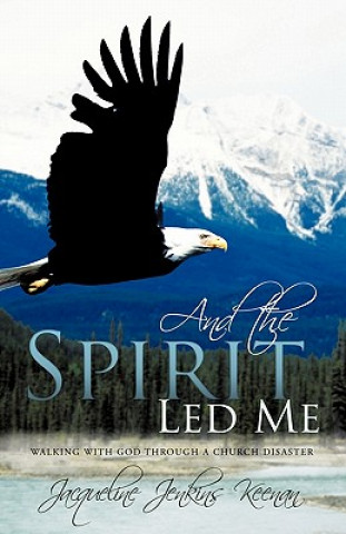 Book And the Spirit Led Me Jacqueline Jenkins Keenan