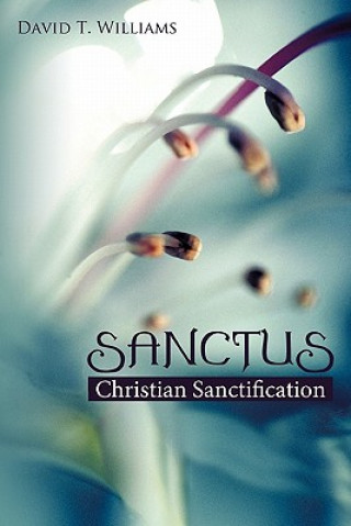Book Sanctus David T Williams