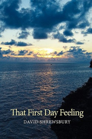 Livro That First Day Feeling David Shrewsbury