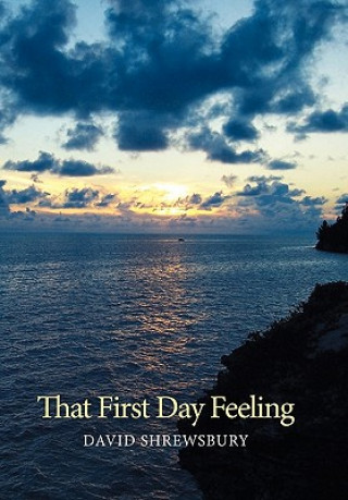 Buch That First Day Feeling David Shrewsbury