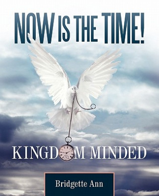 Knjiga Now Is The Time! Bridgette Ann