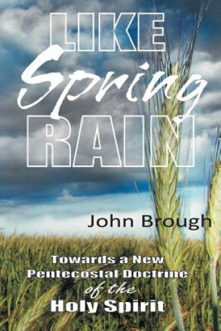 Knjiga Like Spring Rain John Brough