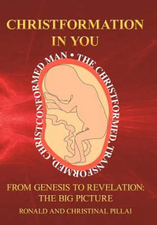 Buch Christformation In You Ronald & Christinal Pillai