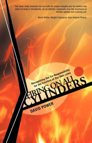 Buch Firing on All Cylinders David Power