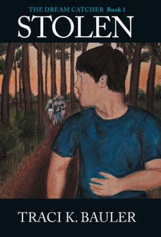 Buch Stolen Traci K. Bauler