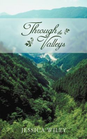 Knjiga Through the Valleys Jessica Wiley