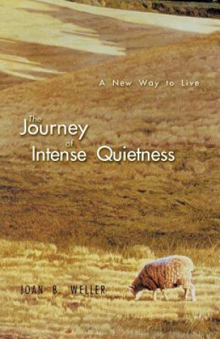 Könyv Journey of Intense Quietness Joan B. Weller