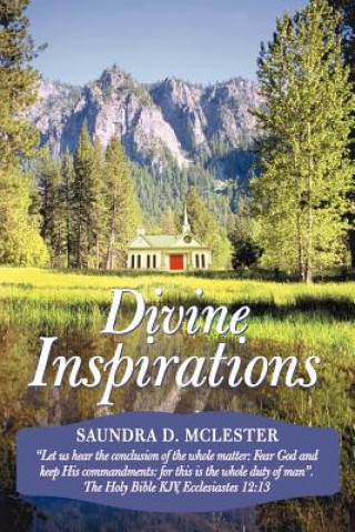 Buch Divine Inspirations Saundra D. McLester