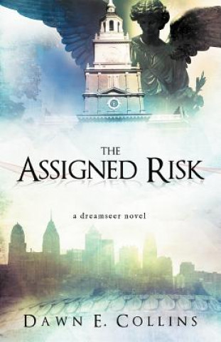 Kniha Assigned Risk Dawn E. Collins