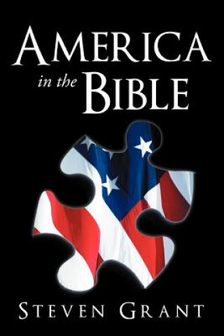 Kniha America In The Bible Steven Grant