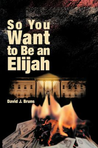 Carte So You Want to Be an Elijah David J. Bruns