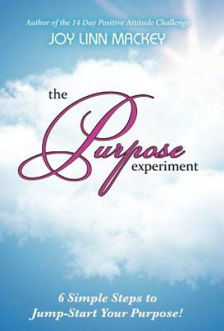 Boek Purpose Experiment Joy Linn Mackey