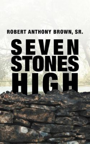 Kniha Seven Stones High Robert Anthony Brown Sr.