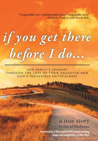 Libro If You Get There Before I Do... David Hoeksema