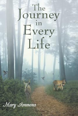 Knjiga Journey In Every Life Mary Ammons