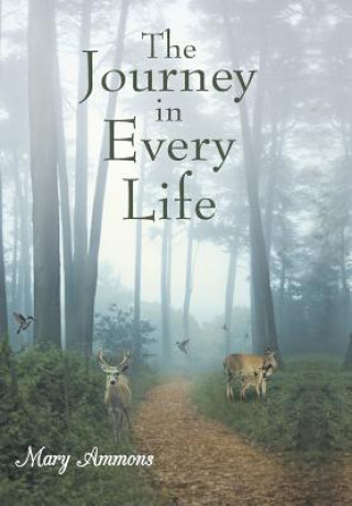 Kniha Journey In Every Life Mary Ammons