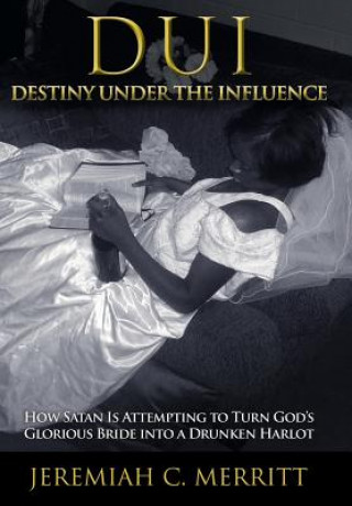 Buch DUI-Destiny Under the Influence Jeremiah C. Merritt