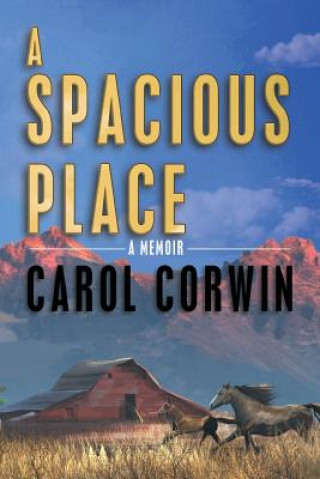 Kniha Spacious Place Carol Corwin