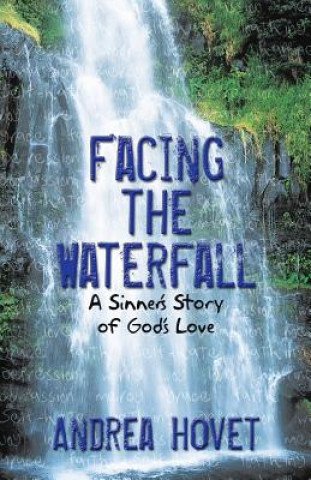Livro Facing the Waterfall Andrea Hovet