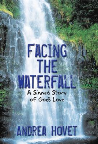 Könyv Facing the Waterfall Andrea Hovet
