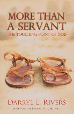 Livre More Than a Servant Darryl L Rivers