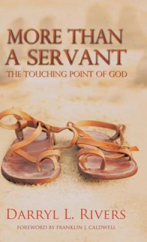 Book More Than a Servant Darryl L Rivers