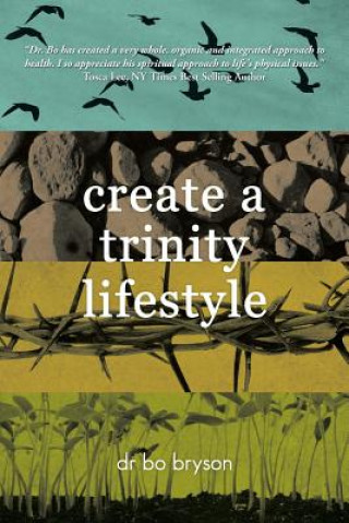 Kniha Create a Trinity Lifestyle Bryson