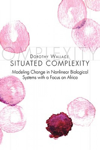 Книга Situated Complexity Dorothy Wallace