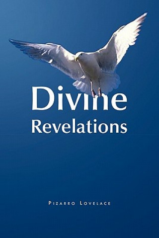 Buch Divine Revelations Pizzaro Lovelace