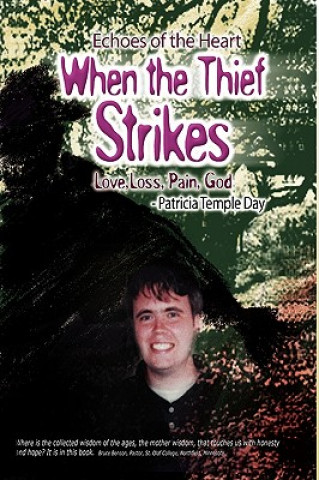 Boek When the Thief Strikes Patricia Temple Day