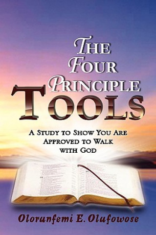 Könyv Four Principle Tools Olorunfemi E Olufowose