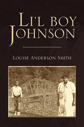 Buch Li'l Boy Johnson Louise Anderson Smith