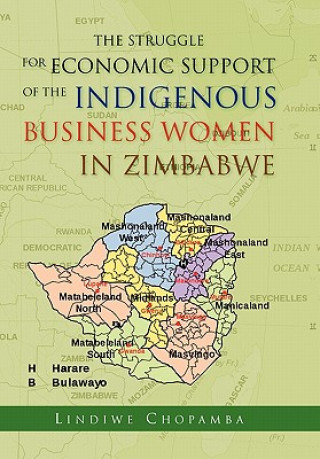 Книга Struggle for Economic Support of the Indigenous Business Women in Zimbabwe Lindiwe Chopamba