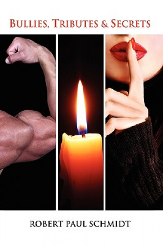 Knjiga Bullies, Tributes & Secrets Robert Paul Schmidt