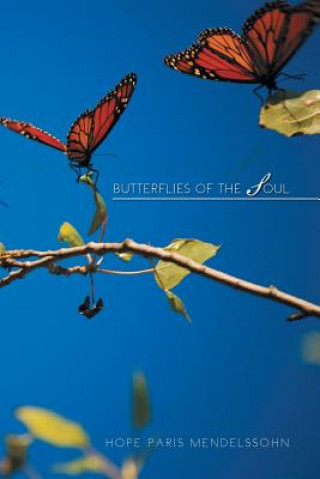 Buch Butterflies of the Soul Hope Paris Mendelssohn