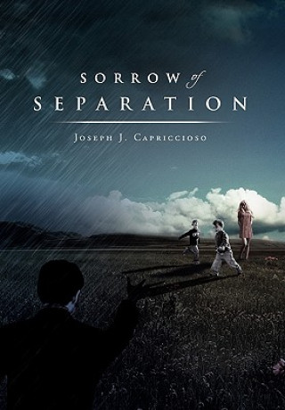 Kniha Sorrow of Separation Joseph J Capriccioso