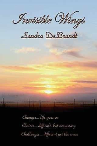 Kniha Invisible Wings Sandra Debrandt