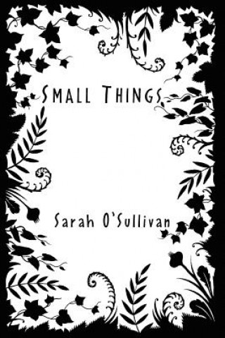 Knjiga Small Things Sarah O'Sullivan