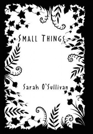 Knjiga Small Things Sarah O'Sullivan